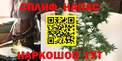 скорость Партизанск